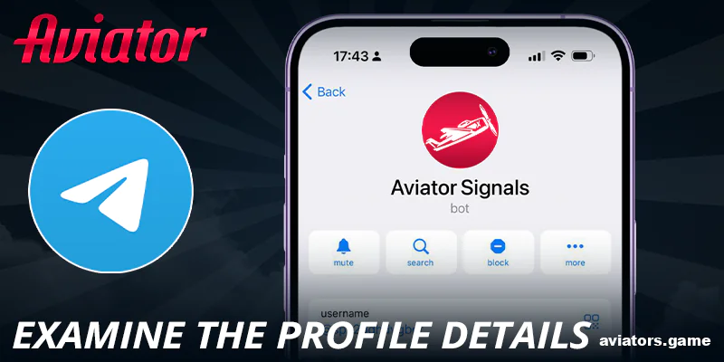 Explore Aviator Signal bot profile details