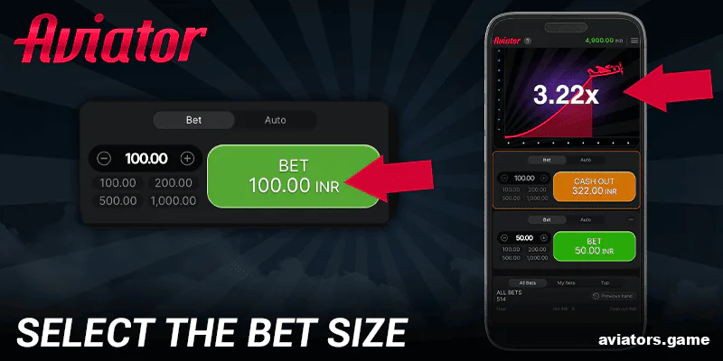 Select an amount and place a bet in the Mega Casino World Aviator app