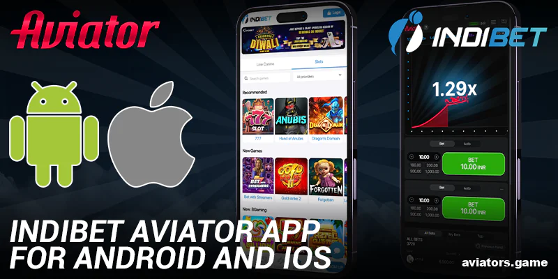 Indibet Aviator IN mobile app for Android and iOS